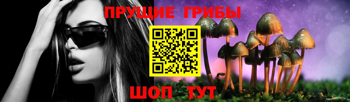 Галлюциногенные грибы Psilocybine cubensis  Вход с VPN  Новотроицк 