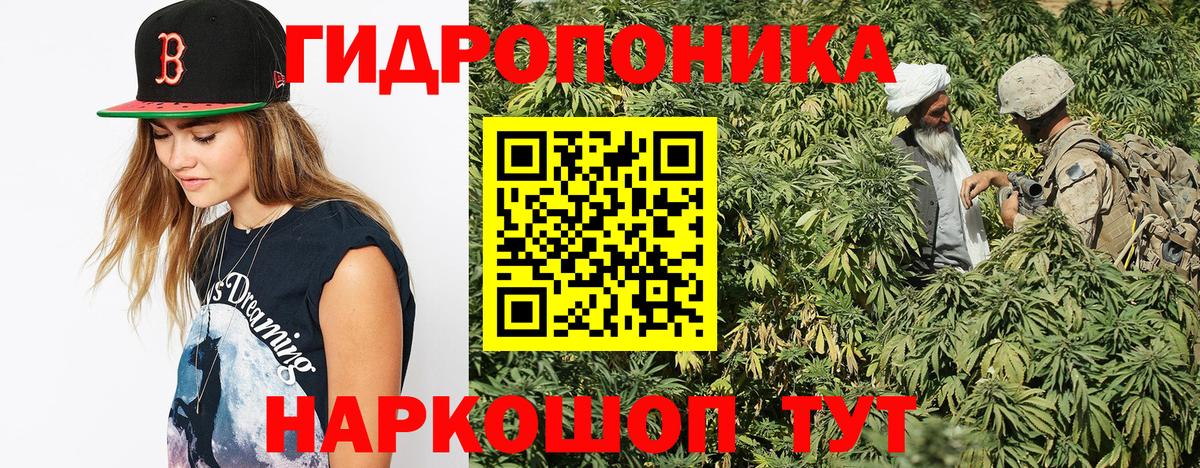 Новотроицк  Конопля ГИДРОПОН  Вход с VPN  Конопля AK-47  Марихуана Ganja 